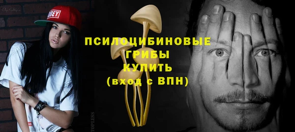 Альфа ПВП Лагань