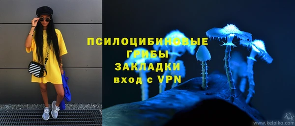 гашик Лабытнанги