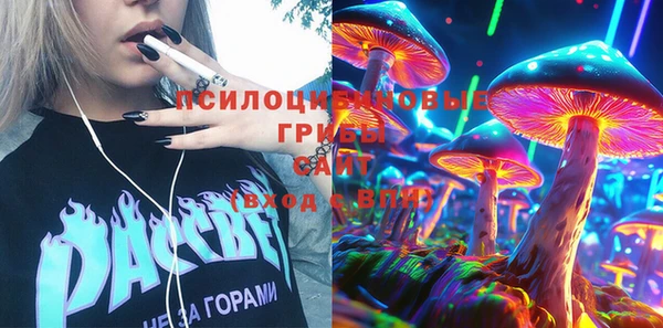 Альфа ПВП Лагань