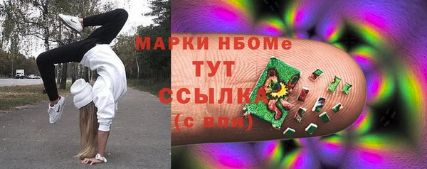 Альфа ПВП Лагань