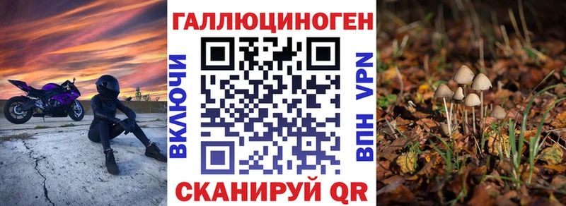Псилоцибиновые грибы Psilocybe  Купить где  Мглин 